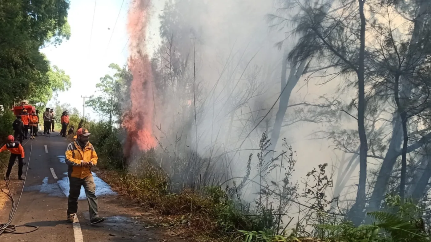 Kebakaran di Kawasan Gunung Bromo Tewaskan Tiga Orang